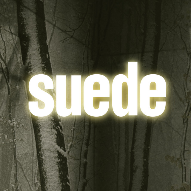 Suede