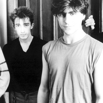 The Chameleons