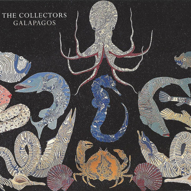 The Collectors